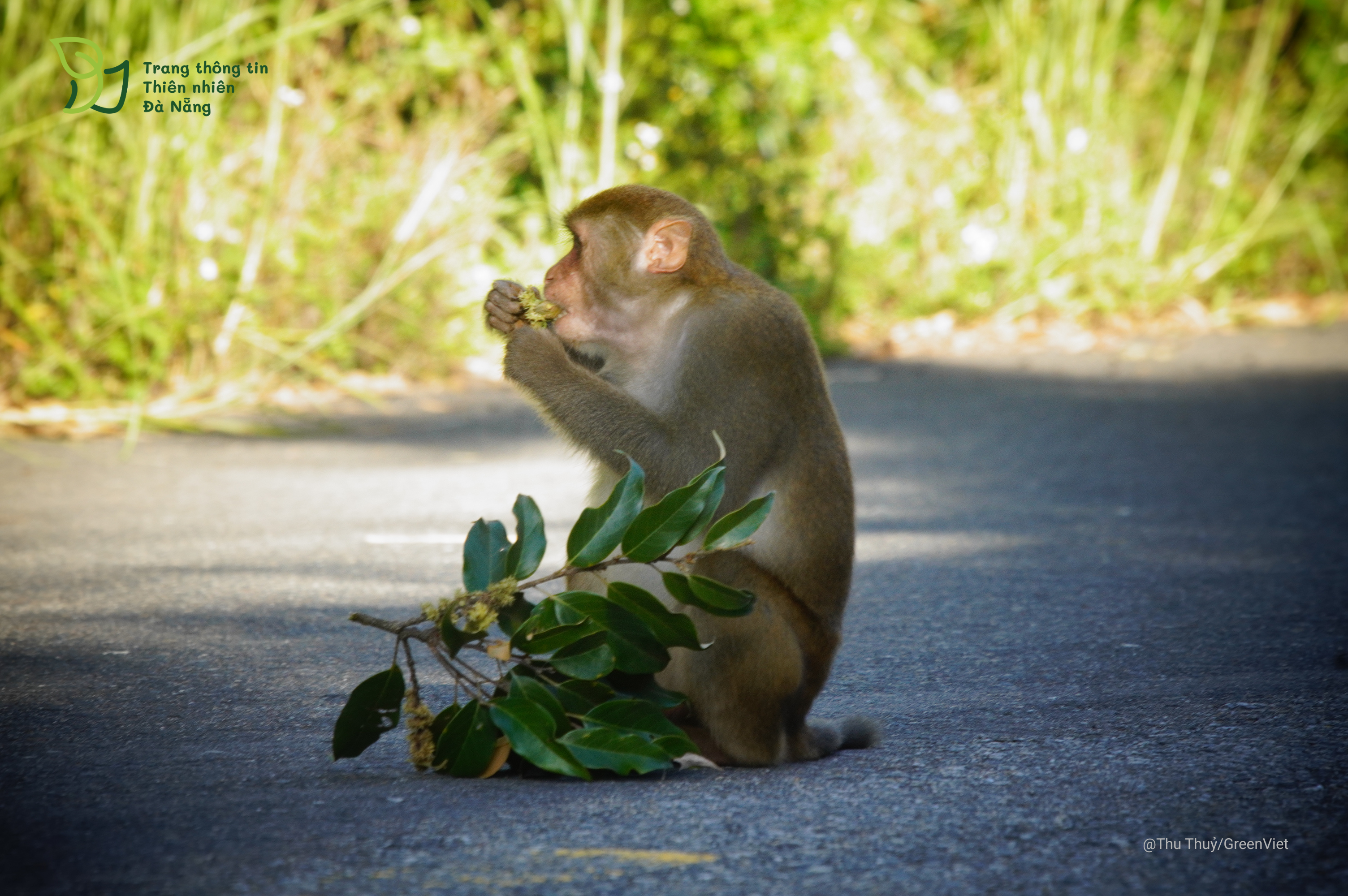 News Banner Background