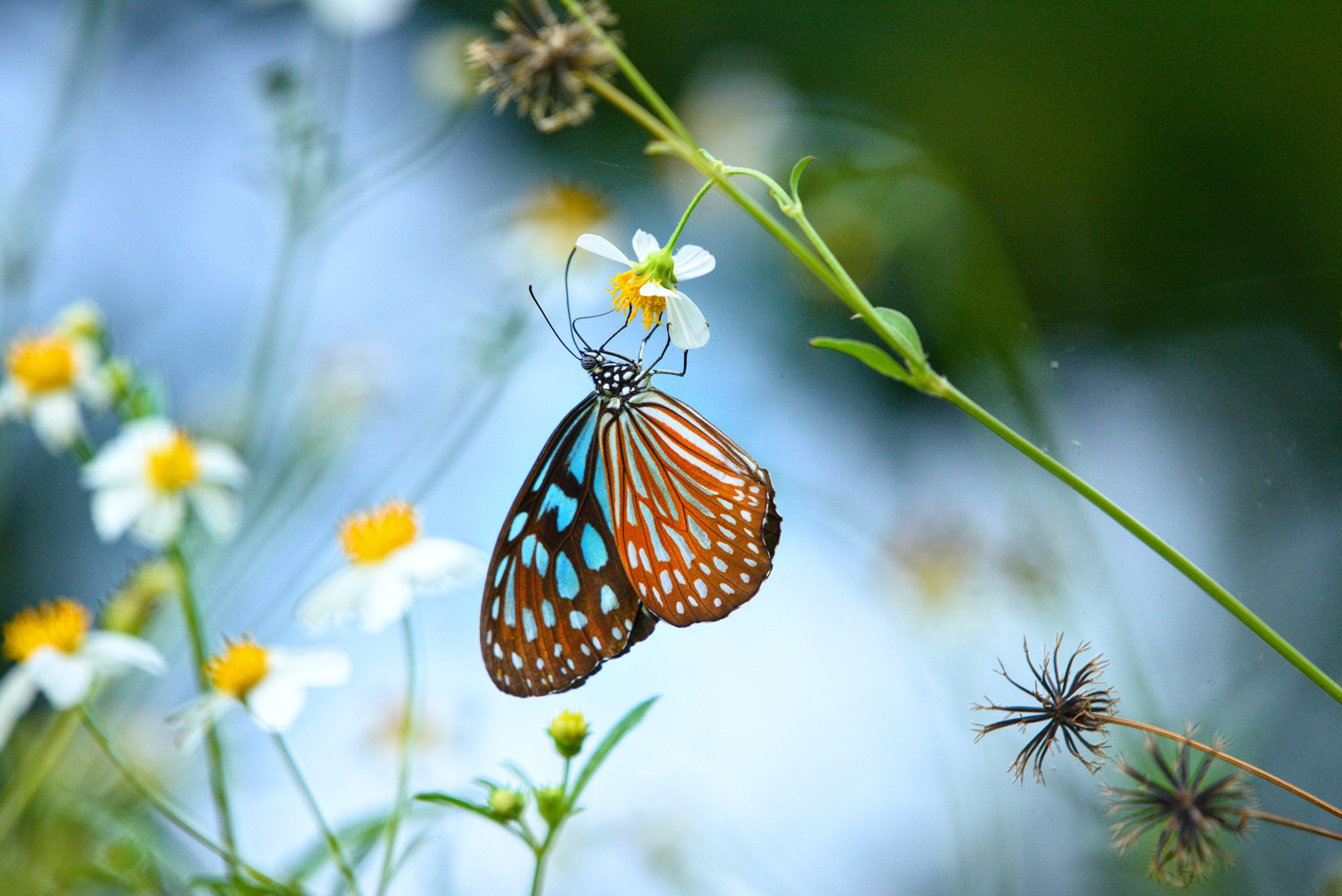 News Banner Background